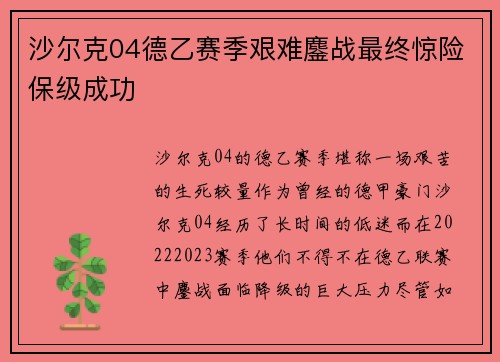 沙尔克04德乙赛季艰难鏖战最终惊险保级成功